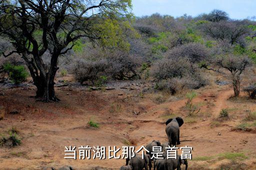 當前湖比那個是首富