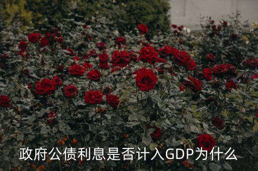 政府公債利息是否計(jì)入GDP為什么