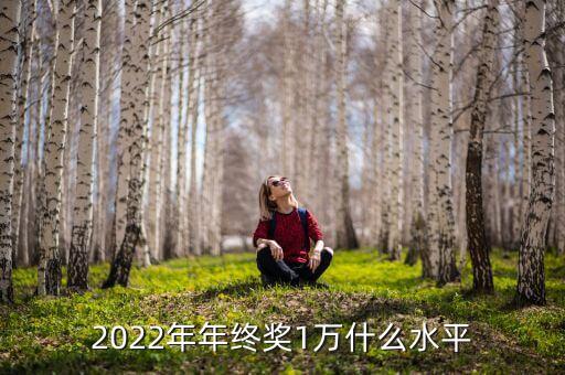 2022年年終獎1萬什么水平