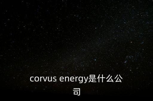 智慧松德是什么公司，corvus energy是什么公司