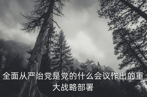 全面從嚴治黨是黨的什么會議作出的重大戰(zhàn)略部署