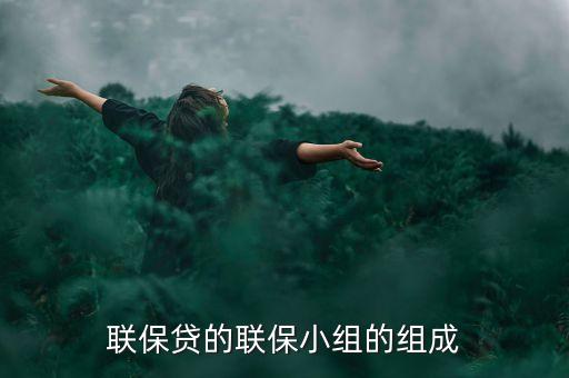 貸款中小組聯(lián)保特征是什么，聯(lián)保貸的聯(lián)保小組的組成