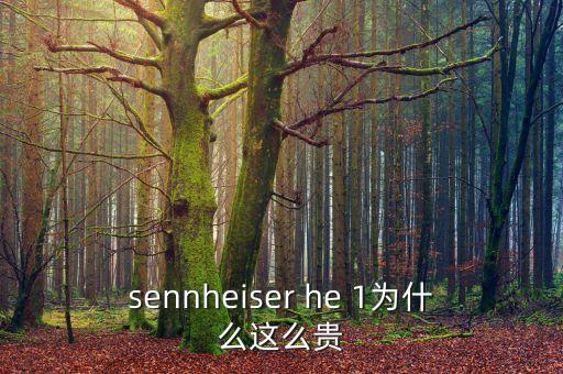 sennheiser he 1為什么這么貴