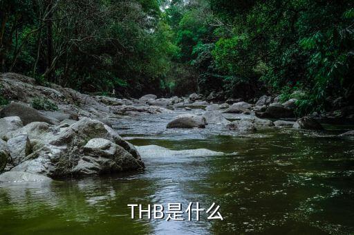 thb是什么貨幣，bath是什么貨幣