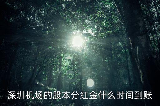 深圳機場的股本分紅金什么時間到賬