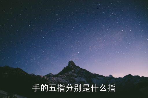 五指最后小指是什么指，五指 怎么分別