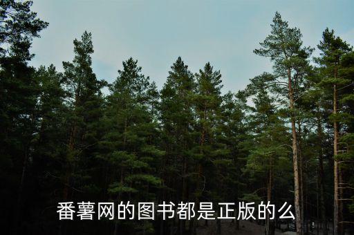 方正番薯什么公司，方正集團(tuán)怎么樣