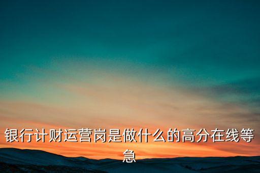 銀行計財運(yùn)營崗是做什么的高分在線等急