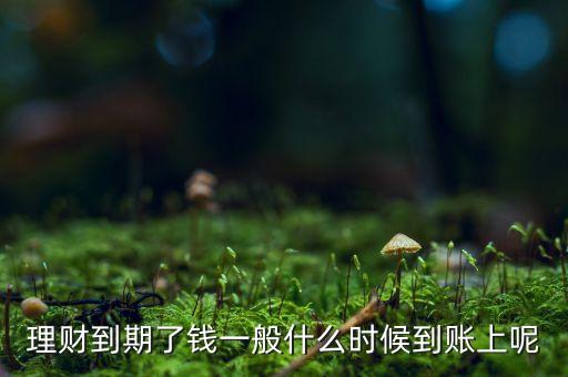 理財?shù)狡诹隋X一般什么時候到賬上呢