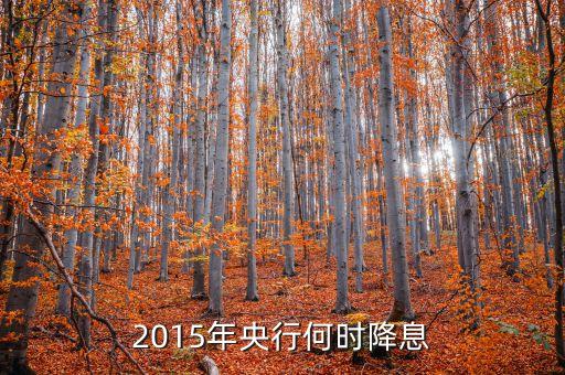 2015年央行何時降息