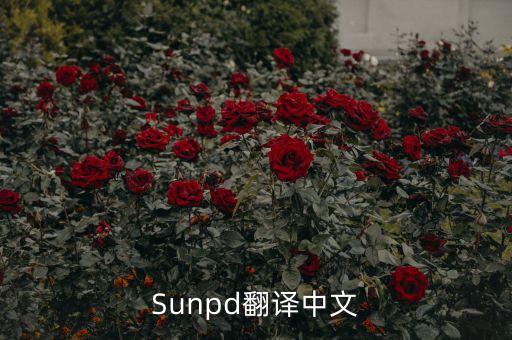 sun同上什么意思，Sunpd翻譯中文