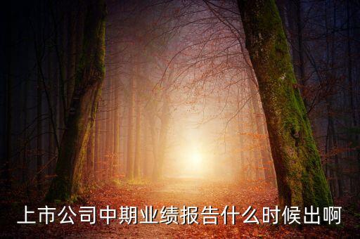 中報業(yè)績最晚什么時間公布，規(guī)定股票中報什么時候出