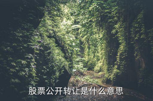 股票公開(kāi)轉(zhuǎn)讓是什么意思