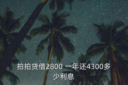 什么是拍拍貸，拍拍貸借2800 一年還4300多少利息