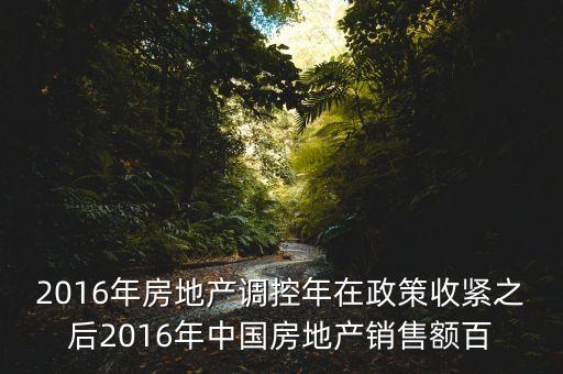 2016房市下一步還能出什么政策，2016年房地產(chǎn)調(diào)控年在政策收緊之后2016年中國(guó)房地產(chǎn)銷售額百