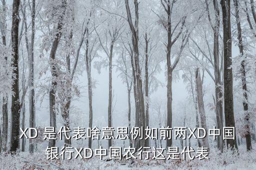 農(nóng)行中證代表什么，XD 是代表啥意思例如前兩XD中國(guó)銀行XD中國(guó)農(nóng)行這是代表