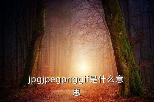 什么是代價(jià)比率，JPG文件會(huì)有病毒嗎