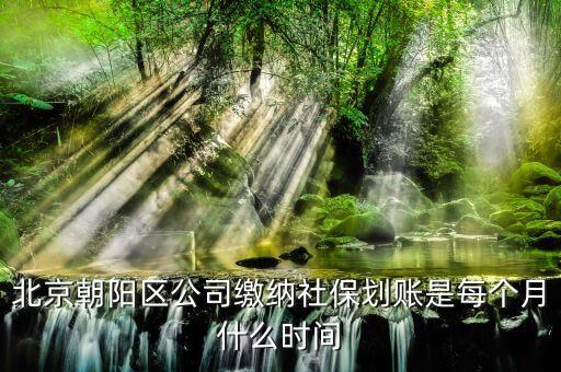 北京朝陽(yáng)區(qū)公司繳納社保劃賬是每個(gè)月什么時(shí)間