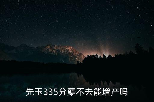 先玉335產(chǎn)量為什么低，先玉335分蘗不去能增產(chǎn)嗎