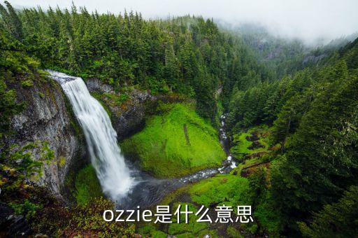 ozzie是什么意思