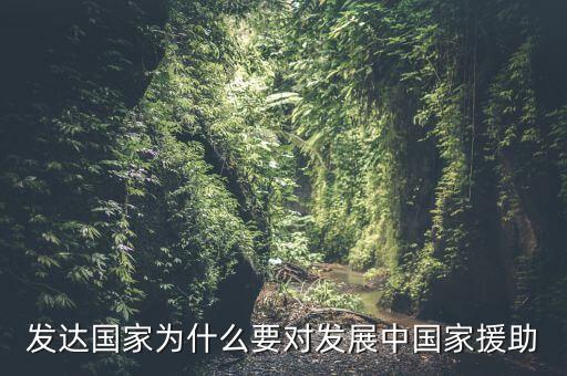 發(fā)達(dá)國家為什么要對(duì)發(fā)展中國家援助