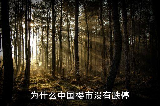 為什么中國(guó)房地產(chǎn)不崩盤，為什么中國(guó)樓市沒(méi)有跌停