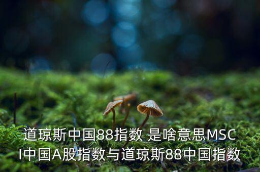 88開頭的股票是什么股，88打頭的股票代碼是那個(gè)交易所