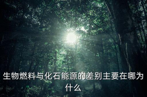 為什么非化石能源，生物燃料與化石能源的差別主要在哪為什么