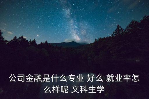 什么叫公司金融，公司金融是什么專業(yè) 好么 就業(yè)率怎么樣呢 文科生學(xué)