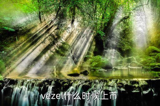 維珍妮集團什么時候上市，vezel什么時候上市