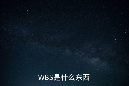 WBS是什么東西