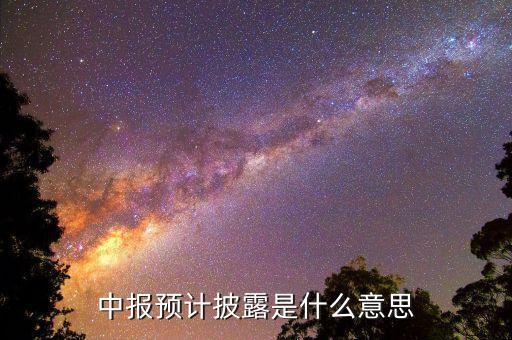 預(yù)先披露是什么意思，中報預(yù)計披露是什么意思