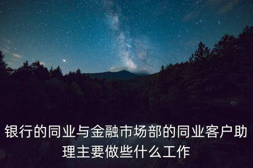 銀行的同業(yè)與金融市場部的同業(yè)客戶助理主要做些什么工作