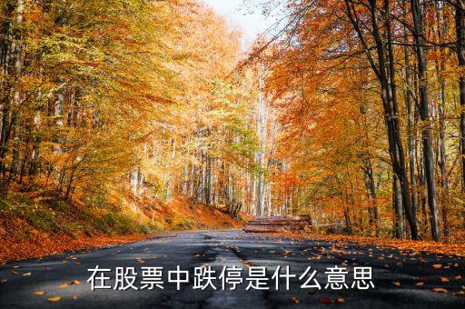 在股票中跌停是什么意思