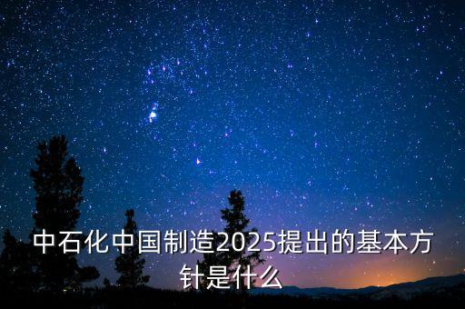 中石化中國制造2025提出的基本方針是什么