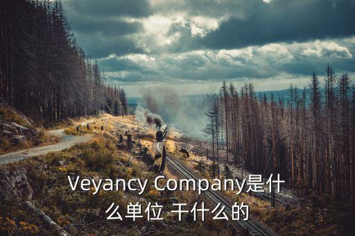 時代沃頓科技有限公司是什么單位，Veyancy Company是什么單位 干什么的