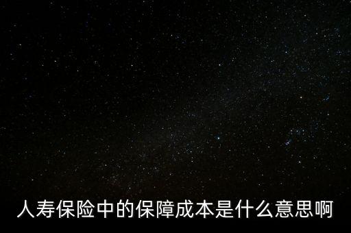 什么是保險(xiǎn)公司的保證成本，保險(xiǎn)中的保障成本是什么意思