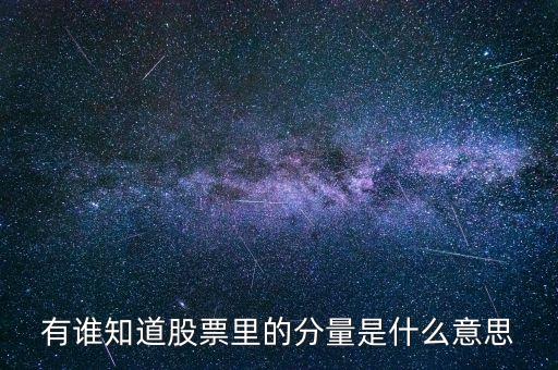 股票中的分時(shí)量是什么，有誰(shuí)知道股票里的分量是什么意思