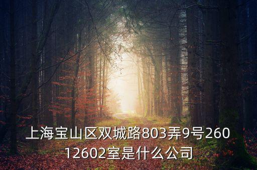 上海柏智方德是什么公司，上海寶山區(qū)雙城路803弄9號(hào)26012602室是什么公司