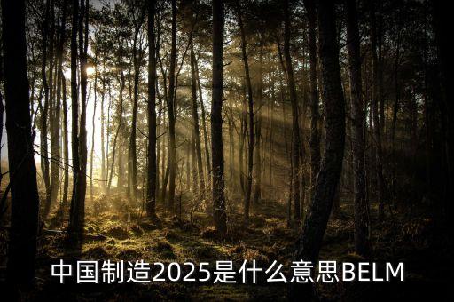 2025規(guī)劃是什么，中國制造2025是什么意思BELM