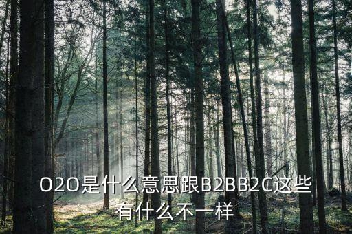 美菜網(wǎng)o2o是什么，O2O是什么意思跟B2BB2C這些有什么不一樣