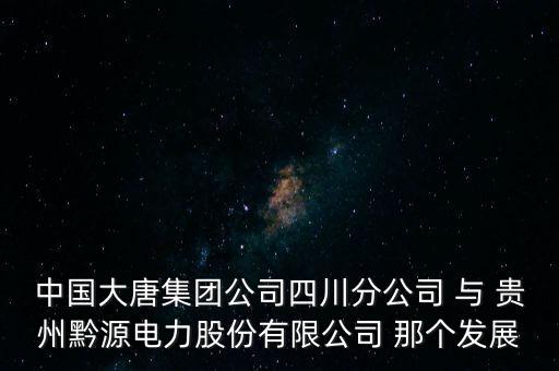 中國(guó)大唐集團(tuán)公司四川分公司 與 貴州黔源電力股份有限公司 那個(gè)發(fā)展