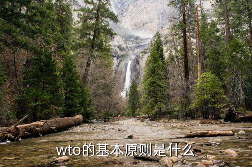 wto的基本原則是什么