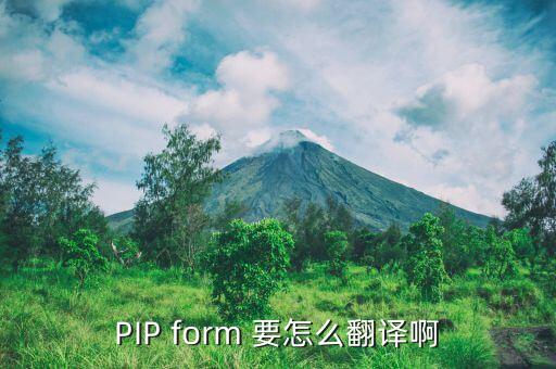 PIP form 要怎么翻譯啊