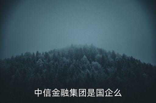 中信金融集團(tuán)是國(guó)企么