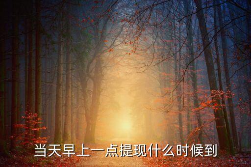 海納幣什么時候提現(xiàn)，你們那里說什么時候可以提現(xiàn)嗎