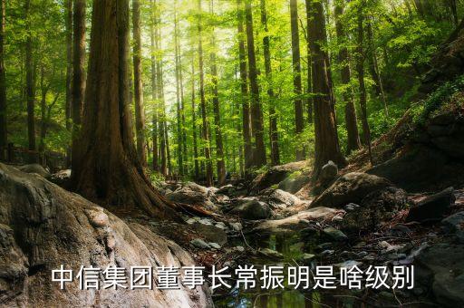 中信集團(tuán)董事長(zhǎng)常振明是啥級(jí)別