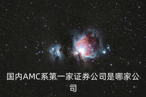 國內AMC系第一家證券公司是哪家公司