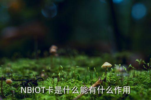 什么是nbiot，海思芯片 nb iot 什么型號(hào)