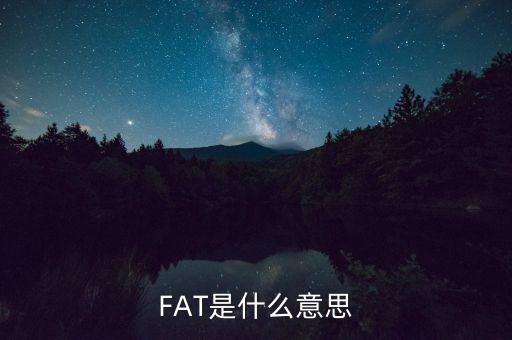 fatca指什么，F(xiàn)AT是什么意思